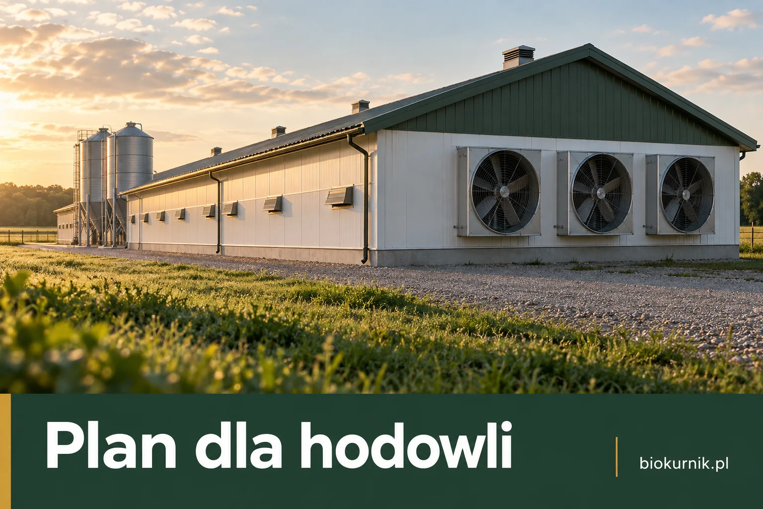 Ilustracyjna wizualizacja budynku kurnika z wentylatorami na ścianie szczytowej i silosami. Okładka poradnika: Zaplecze techniczne kurnika, planowanie obsługi.
